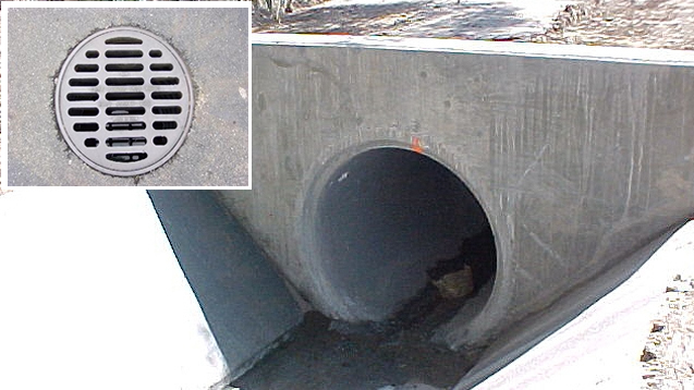 Storm Drains & Ditches